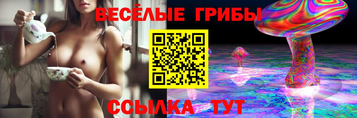 Псилоцибиновые грибы прущие грибы Дзержинский