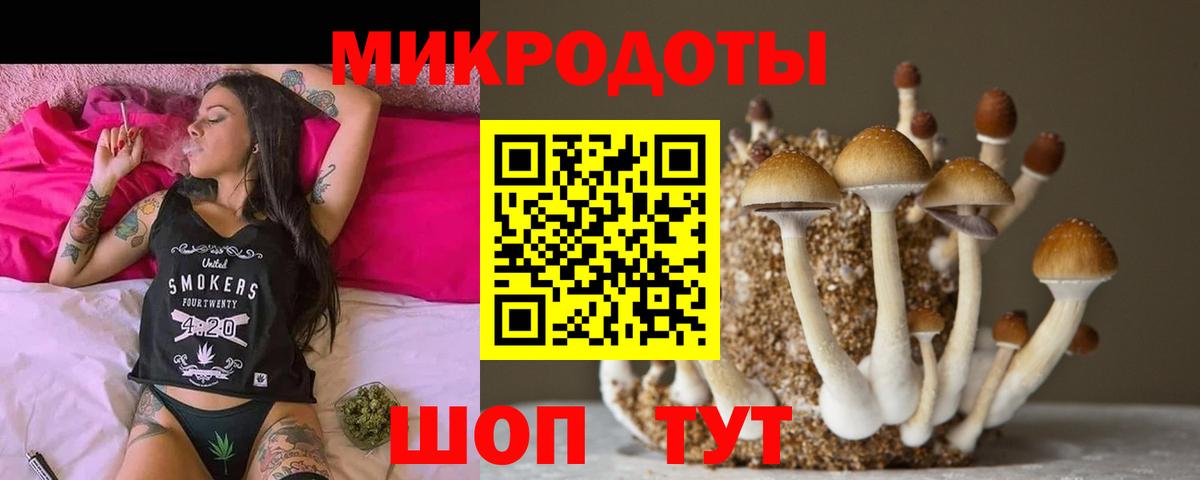 Псилоцибиновые грибы Psilocybe  Галлюциногенные грибы прущие грибы  цены наркотик  Дзержинский  Вход с VPN 